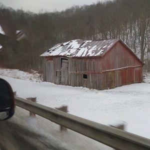 Meet your Posher, Suzanne